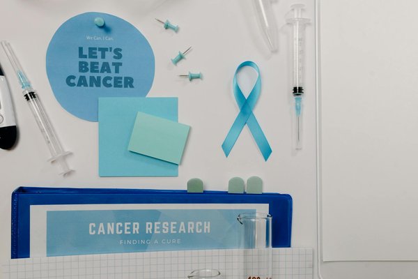 Tisanes bio pour combattre le stress et améliorer le sommeil